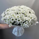 Моно букет из 21 хризантемы