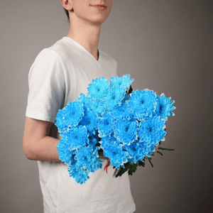 Монобукет из 3 синих кустовых хризантем