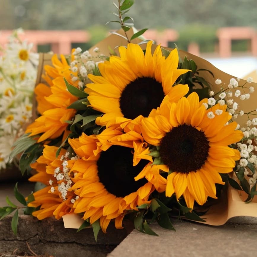 Bouquet of sunflowers and carnations as thank you gift for teacher