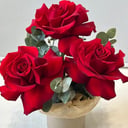 Шляпная коробка с цветами «Французская роза с эвкалиптом в коробке»