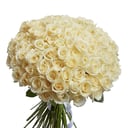 Букет из 61 белой розы