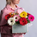 Букет «Сумочка с герберами микс "Калейдоскоп"»
