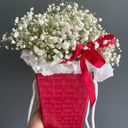 Коробка с цветами «Радость» из гипсофил