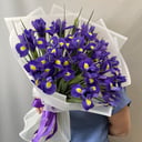 Моно букет из 21 ирисов