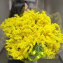 Букет «Мимоза яркая»
