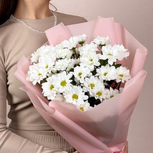Нежный букет из 3 кустов ромашек