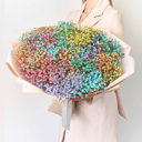 Букет из 15 радужных гипсофил