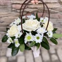 Коробка с цветами «Белый ангел» из хризантем