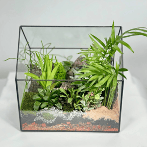 Тропический рай