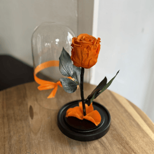 Роза в колбе мини оранжевая
