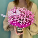 Композиция «Стакан с гипсофилой»