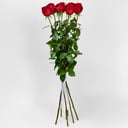 Букет из 7 красных роз, Премиум (100см)