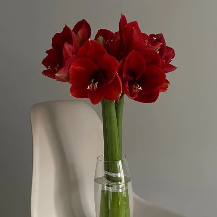 Blumen bestellen und verschicken in Deutschland