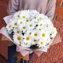 Букет из кустовой хризантемы