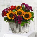Autumn Basket: Alstroemerias