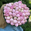 Букет «Розовые пионы Сара Бернар»