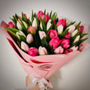 Букет «39 бело-розовых голландских тюльпанов»