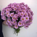 Букет Кустовых Хризантем