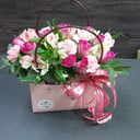 Коробка с цветами «Цветочный водопад» из роз и альстромерий