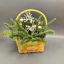 Корзина с цветами «Композиция из нобилиса "Лесная сказка"»