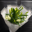 Букет из 5 лилий