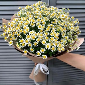 Букет «Кустовые ромашки»
