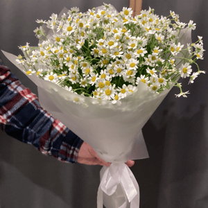 Букет с ромашкой танацетум камилла