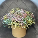 Композиция «Улыбка» из гипсофил