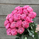 Монобукет из роз сорта Кантри Блюз