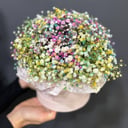 Шляпная коробка с цветами «Радужная гипсофила в коробке»