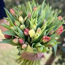 Букет «Весенний привет» из тюльпанов