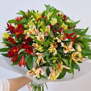 Букет из 25 альстромерий
