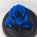 Роза в колбе Мини Синяя