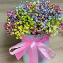 Шляпная коробка с цветами «Радуга» из гипсофил