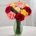 One Dozen Rainbow Roses