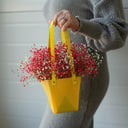 Композиция «Сумочка с красной Гипсофилой»