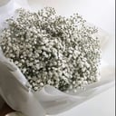 Букет из 25 белых гипсофил