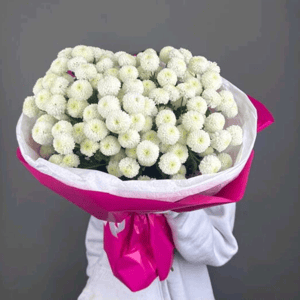 Букет с ньютонами в розовой упаковке из хризантем