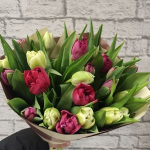 Букет из 25 пионовидных тюльпанов