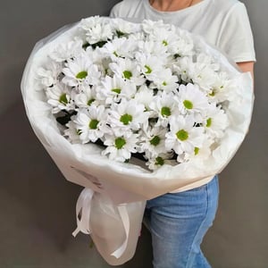 Букет из 7 хризантем Рейган, арт.1069
