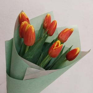 Букет «9 красно-жёлтых тюльпанов»