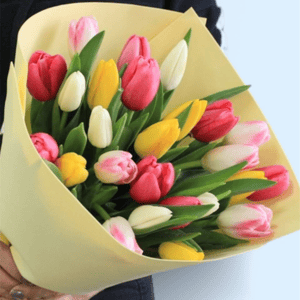 Букет микс 25 тюльпанов