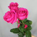 Букет «3 розы Фул Монти»