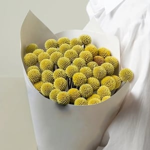 Букет из экзотических краспедий