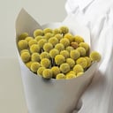 Букет из экзотических краспедий