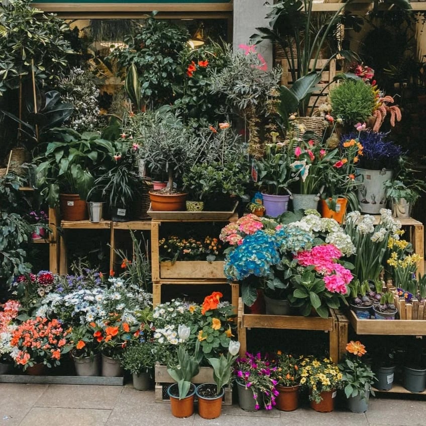 Floristería de barrio en España