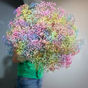 Букет цветов из 35 разноцветных гипсофил