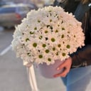 Шляпная коробка с цветами «Ромашковая хризантема»