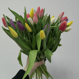 Букет «Тюльпан микс 25»