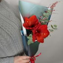 Композиция «Букет Амариллиса с Генистой и Эвкалиптом»